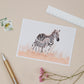 Zebra Postcard Set - Sjstationery