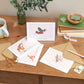 Kangaroo A6 Blank Everyday Thank You Greeting Card With Envelope