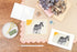 A6 Postcard with a Zebra and it&